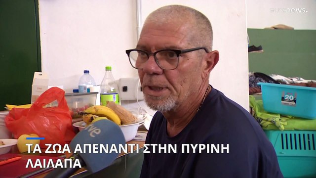 Ο αγώνας δρόμου για την διάσωση των ζώων στα πύρινα μέτωπα