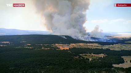 Eskişehir'de ormanlık alanda çıkan yangına müdahale ediliyor