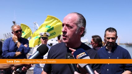Veneto, Zaia "Preoccupati da granchio blu, quest'anno -80/90% vongole"