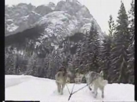 Oumiaks sled dogs dolomites-Alpes Juanary 2006 day 1