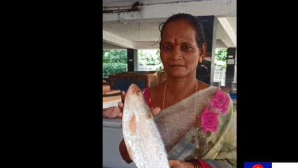 కోనసీమ జిల్లా: వామ్మో... పులస చేప రూ.16 వేలు..!
