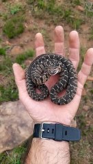 Mesmerizing Threat Display