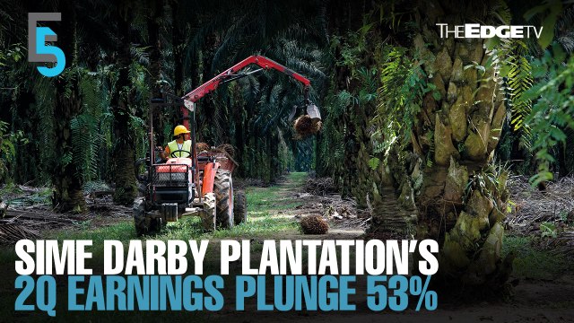 EVENING 5: Sime Darby Plantation 2Q earnings plunge 53%
