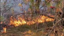 ESKİŞEHİR Seyitgazi ilçesi'nde orman yangını