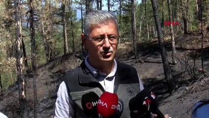 20 incendies de forêt pendant la saison estivale à Bolu