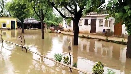दौसा.  भारी बरसात से हुआ जलभराव, कई कच्चे घर हुए धराशायी