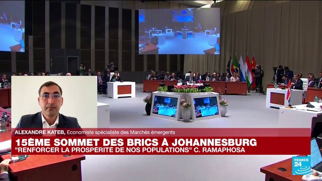 15eme Sommet des BRICS à Johannesburg : la dédollarisation au cœur des débats