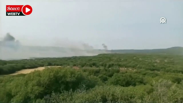 Gelibolu Yarımadası'nda makilik alanda yangın çıktı