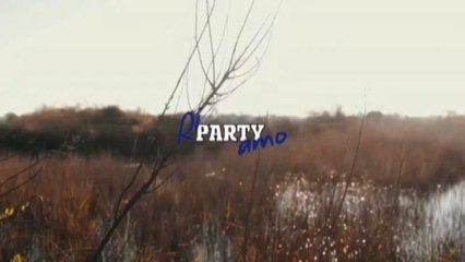 Ri-Party-Amo: Ripuliti 20 mln di mq di spiagge, fiumi, laghi e fondali