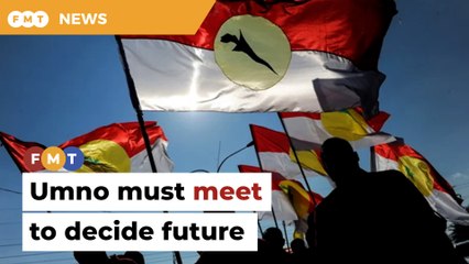 Convene EGM to debate need for party polls, Umno told