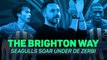 The Brighton Way: Seagulls soar under De Zerbi