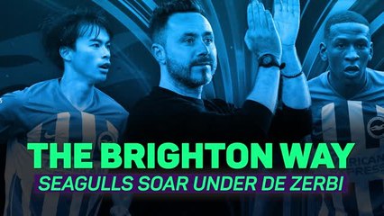 Download Video: The Brighton Way: Seagulls soar under De Zerbi