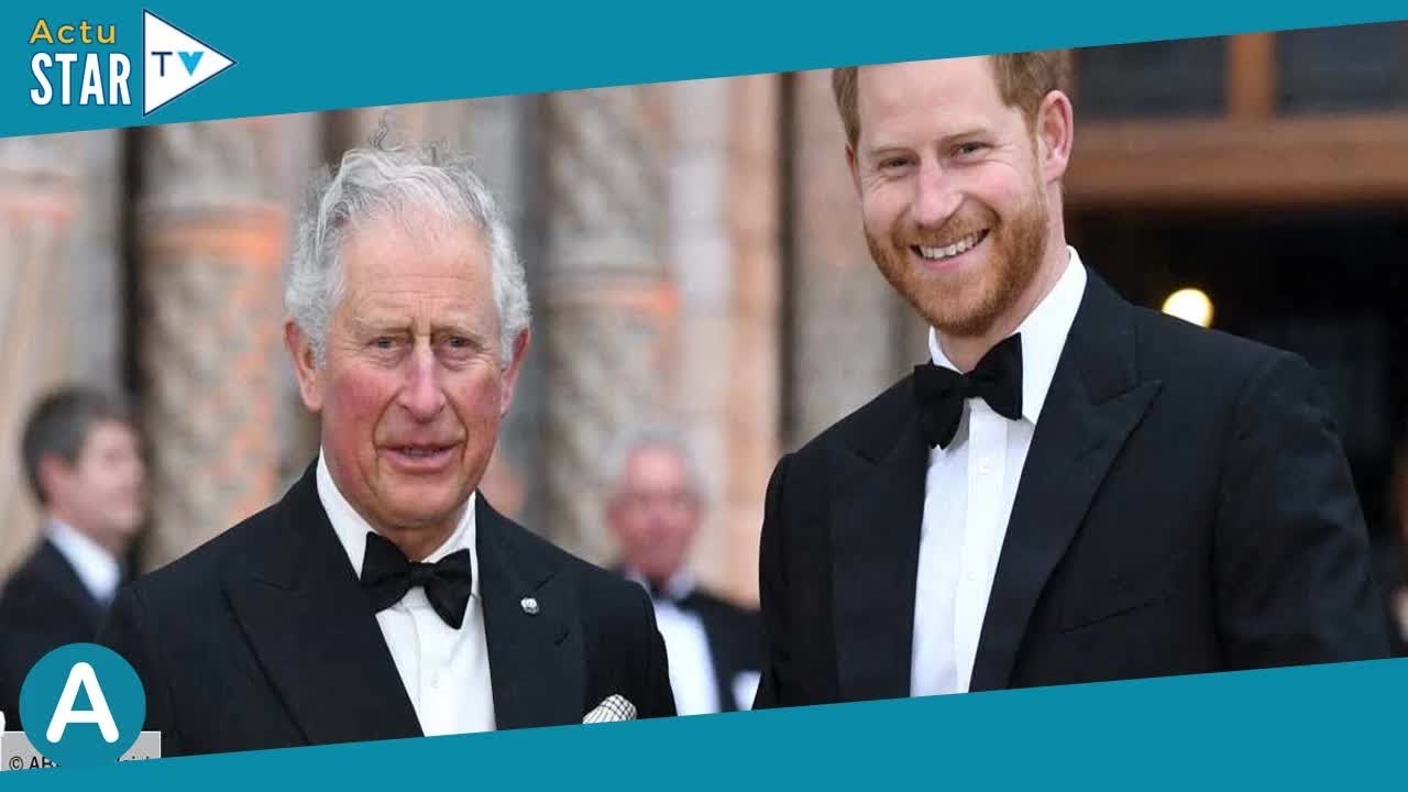 Prince Harry  sa réunion avec Charles III simple coup de communication de la famille royale
