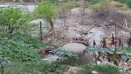 गुपचुप रूप से प्रतापसागर तालाब में डाला जा  रहा है शहर के नालों का गंदा पानी