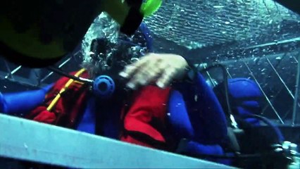 Shark Zone Bande-annonce (EN)
