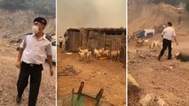 Çanakkale'de İl Jandarma Komutan Yardımcısı Jandarma Albay Kamil Türkdönmez'in hayvanları yangından kurtarmak için verdiği mücadele sosyal medyada yankı uyandırdı