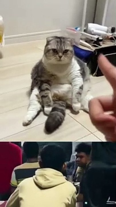 Funny videos,#hahahahah#heheheh#hihihu#xixixi,Funny videos,فيديو مضحك/grappige video/ смешнае відэа/ 有趣的視頻/ sjov video / hauska video/bhidio èibhinn/fyndið myndband/video divertente/面白いビデオ/ lustiges Video/ 웃긴 영상/ witzeg Video/ śmieszny filmik/Vídeo
