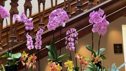 A lazy Sunday to remember at Four Seasons Hotel Hampshire