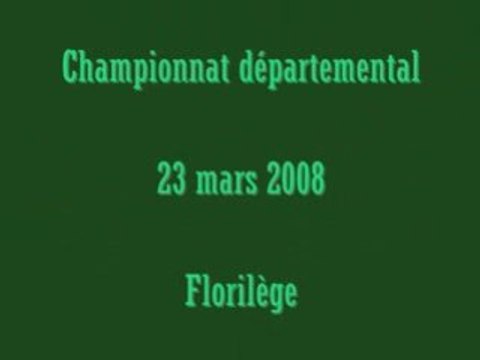 CSO-PONAM/CD Vienne-en-Val, 2008