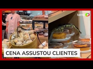 Cobra é flagrada rastejando em cima de bolos e pães em supermercado de Florianópolis