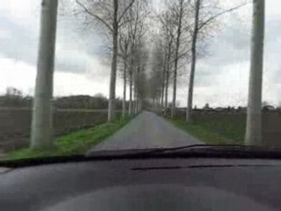petite ligne droite seul entre les arbres