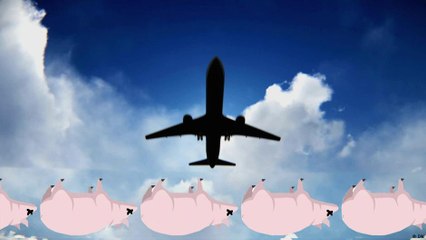 وقود حيوي من دهن الخنزير