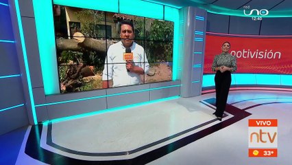 Fuertes vientos causaron estragos en Santa Cruz