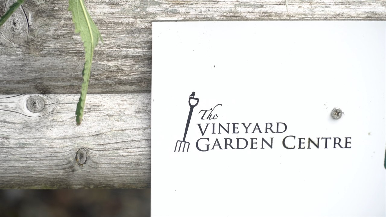 Canterbury charity voice the importance of learning life-skills for those with learning disabilities