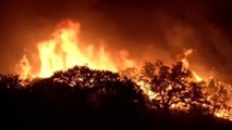 El Gobierno griego vincula la oleada de incendios con el cambio climático