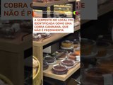 Cobra é flagrada rastejando em cima de bolos e pães em supermercado de Florianópolis