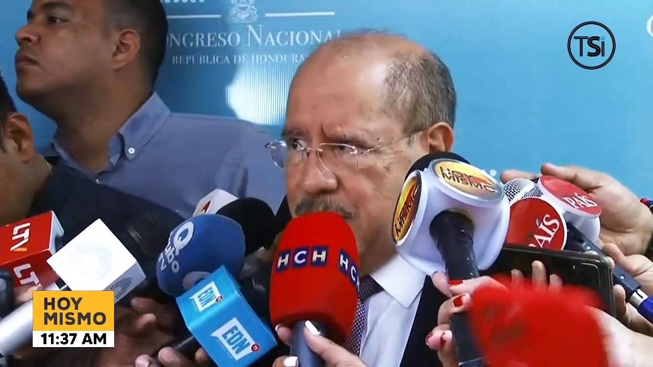 declaracion PINO