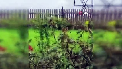 Rus Paralı Asker Grubu Wagner'in Lideri Evgeny Prigojin'in Yolcu Listesindeki Özel Jet Düştü