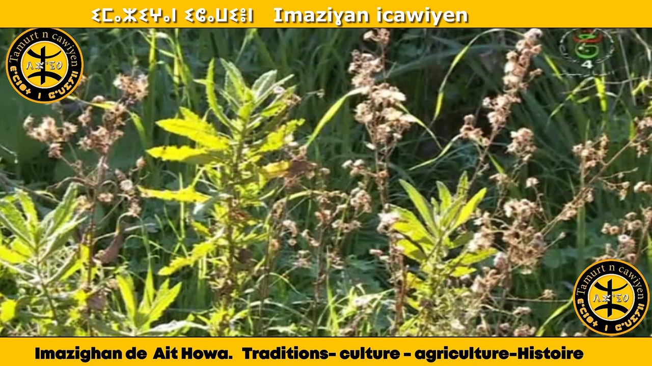 Imazighan de  Ait Howa.   Traditions- culture - agriculture-Histoire-1