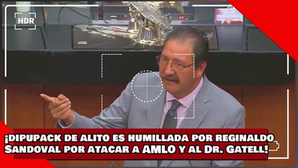 ¡VEAN! ¡dipupack de ‘Alito’ es humillada por Reginaldo Sandoval por atacar a AMLO y al Dr. Gatell!