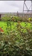 Wagner boss Yevgeny Prigozhin’s jet being shot down en route from Moscow to St. Petersburg.