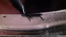 Tattoo on Transparent 'Skin' at 20,000fps - The Slow Mo Guys