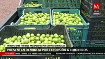 Productores de limón presentan denuncia por extorsión tras ser amenazados por grupos criminales
