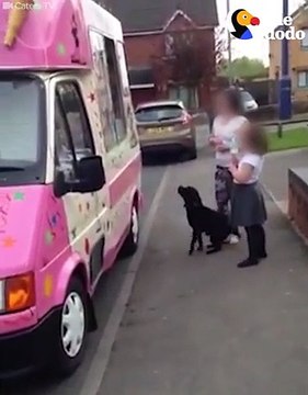 Dog Can't Contain His Excitement For The Ice Cream Truck