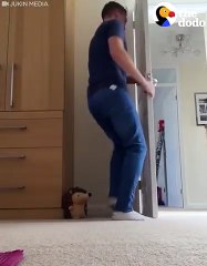 Dog And His Dad Play Hide And Seek