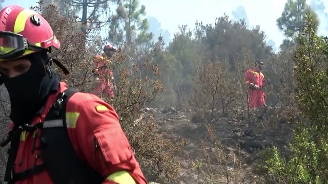 El Gobierno canario prevé dar por estabilizado el incendio de Tenerife este jueves