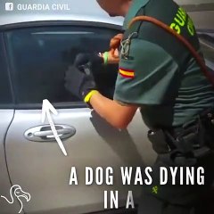 Cops Shatter Car Window To Save Dying Dog   The Dodo