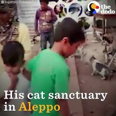 Cat Man Of Aleppo Rebuilds His Sanctuary   The Dodo