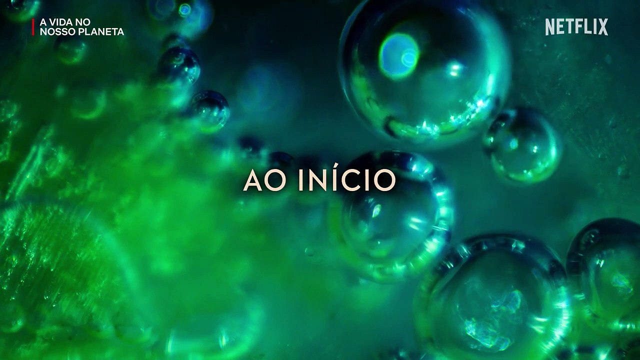 A Vida no Nosso Planeta | Teaser oficial | Netflix