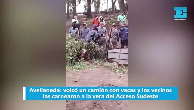 Avellaneda volcó un camión con vacas y los vecinos las carnearon a la vera del Acceso Sudeste