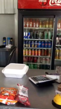 G. I Corp. Landscaping Tree Service Miami, FL 2023