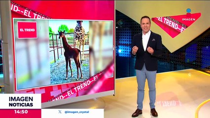 Casa con más de 100 años de antiguedad no tuvo daños por incendios en Hawái