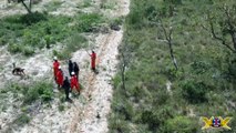 VÍDEO: Cães farejadores procuram por trabalhadores rurais desaparecidos em matagal na Bahia