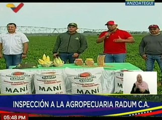 Anzoátegui | Agropecuaria Radum C.A posee más de mil hectáreas de maní en mcpio. San José de Guanipa