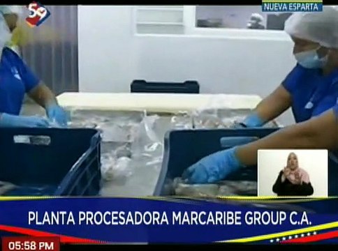 Nueva Esparta | 29 mil toneladas de sardinas son procesadas en la planta MarCaribe Group C.A.