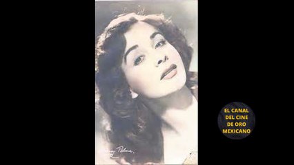 ⭐¿QUIÉN fue LETICIA PALMA? Enfrentó a NEGRETE y CANTINFLAS⭐